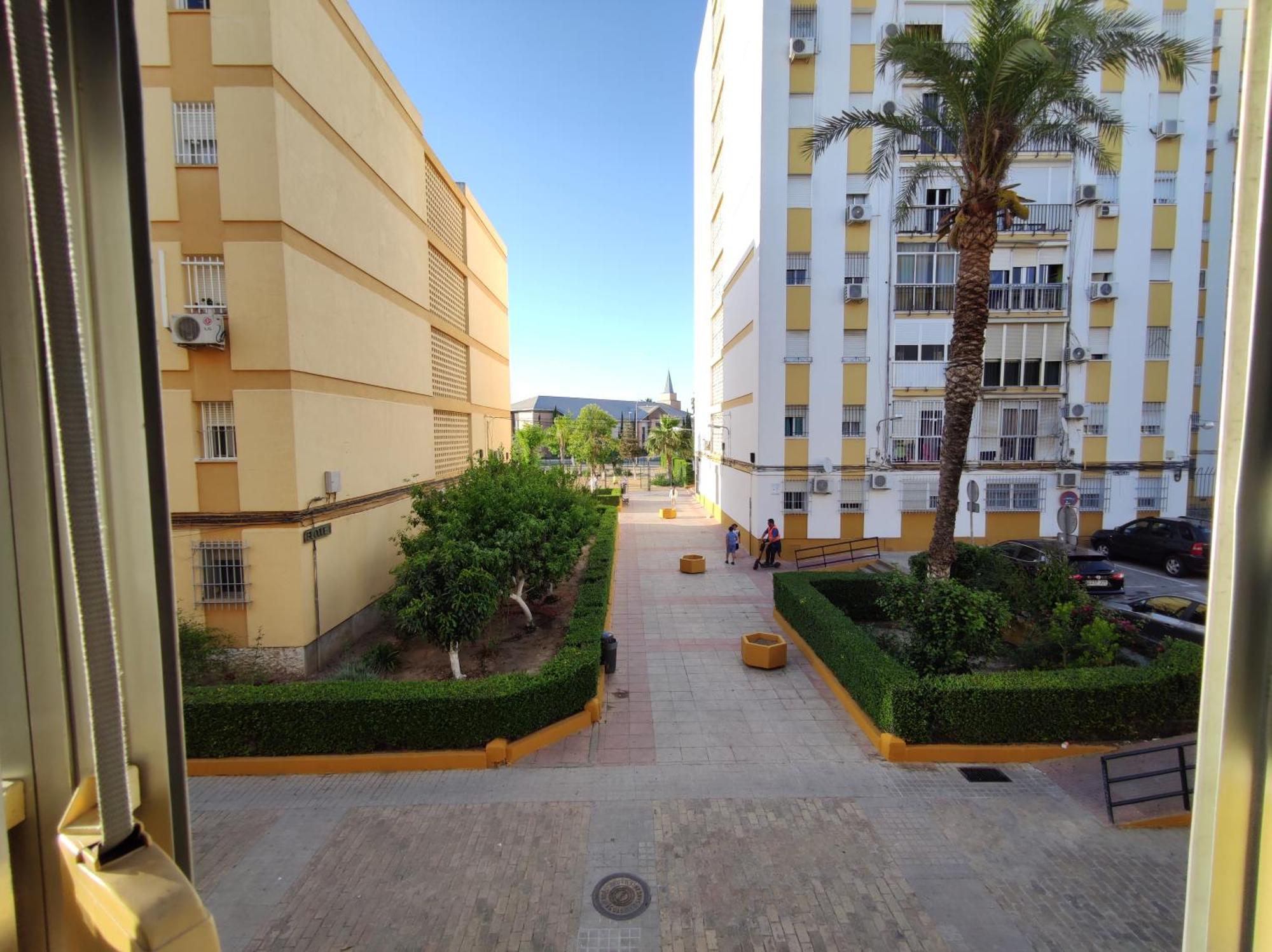 Apartamento Celia Apartment Seville Exterior photo