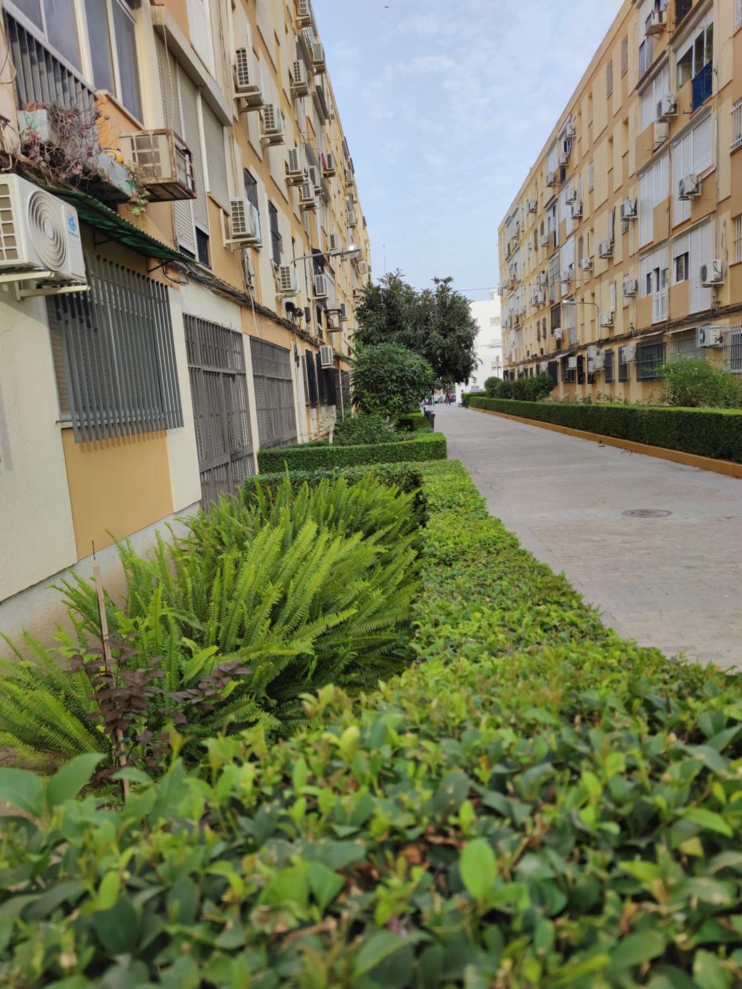 Apartamento Celia Apartment Seville Exterior photo